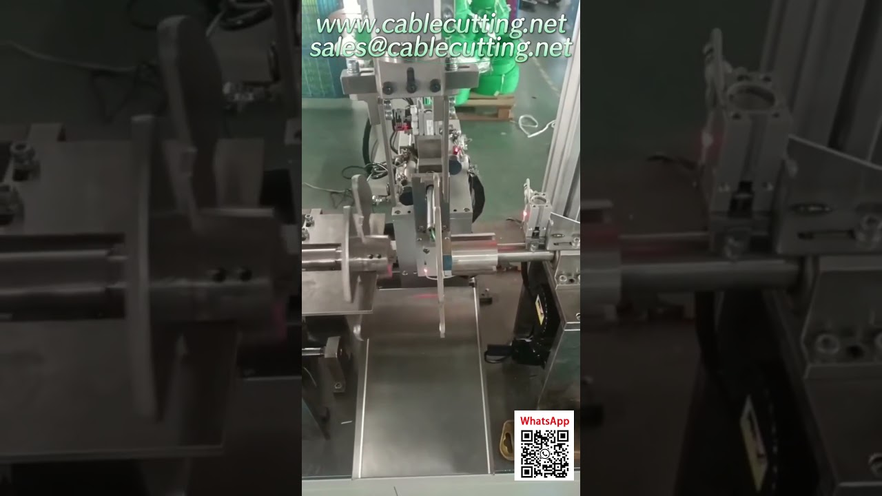 Machine d'emballage automatique pour bobine de fil de coupe-bordure