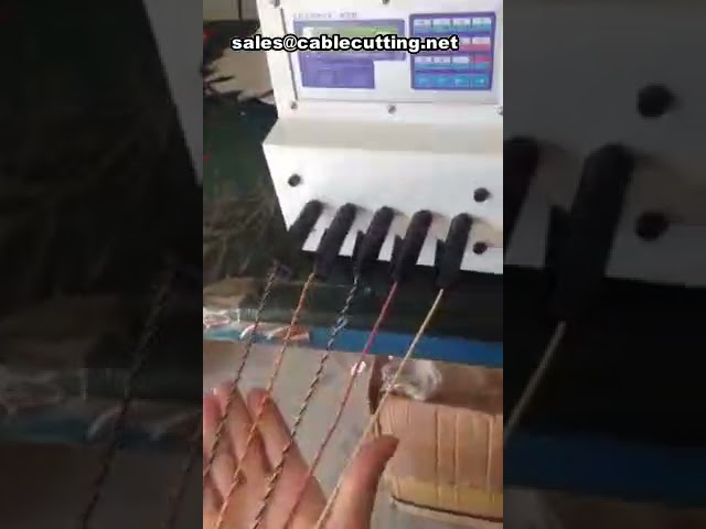 Machine à corder à pinces avec système à cinq mandrins – Torsadage et ligature de fils