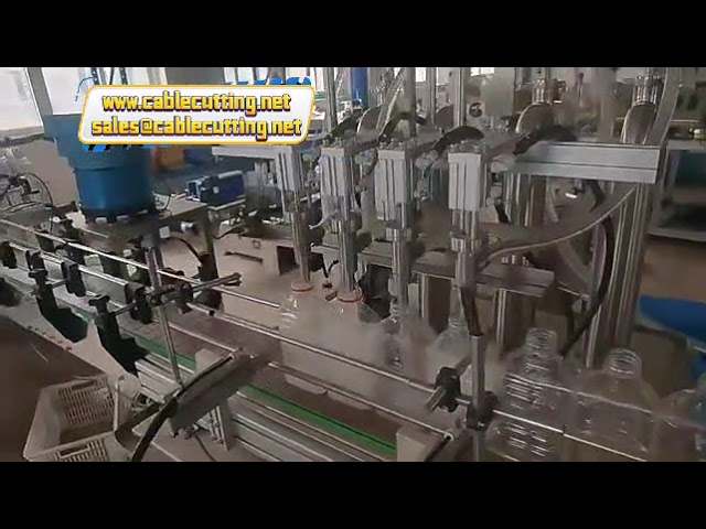 Machine de remplissage à piston automatique : cosmétiques, détergents, shampoings, jus et pâtes (soja, tomate)