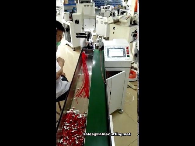 Machine à sertir les cosses automatique en forme de drapeau avec convoyeur à bande – Démonstration
