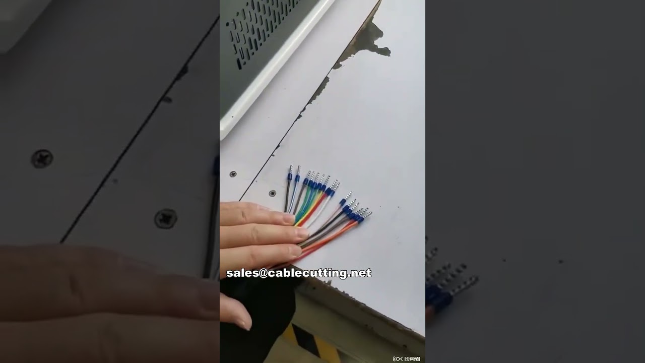 Machine à dénuder et sertir les bornes pré-isolées WPM-5-40 | Automatisation efficace