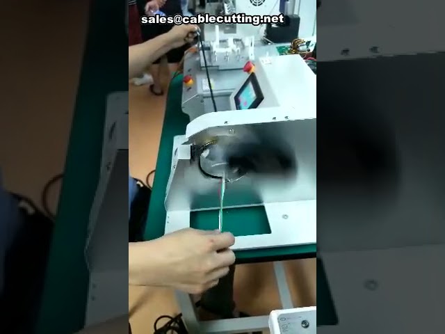 Machine d'enroulement rotatif pour faisceaux de câbles | Ruban adhésif automatique