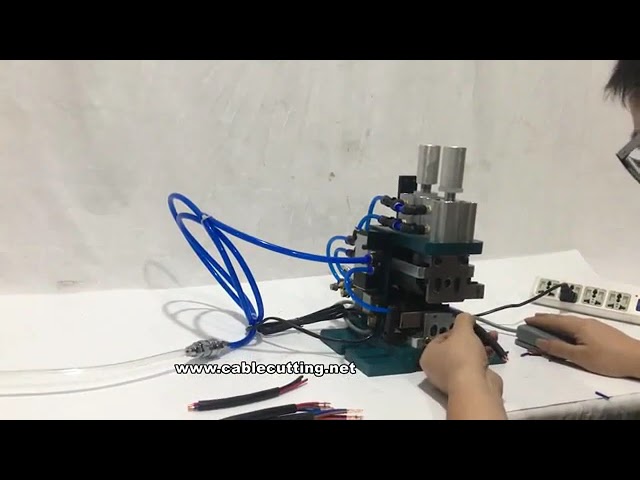 Machine à dénuder verticale WPM-3F – Précision et automatisation