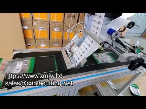 Machine d'étiquetage automatique WPM300d pour bouteilles plates de bière légère – Vente en gros performante